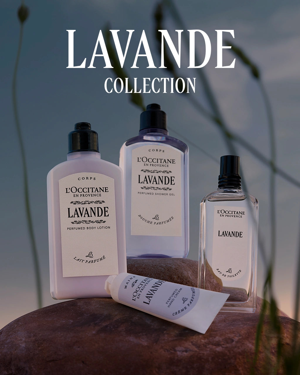 L'Occitane en Provence - Lavender