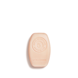 Intensive Repair Solid Shampoo 60gr