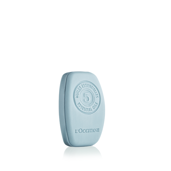 Purifying Freshness Solid Shampoo