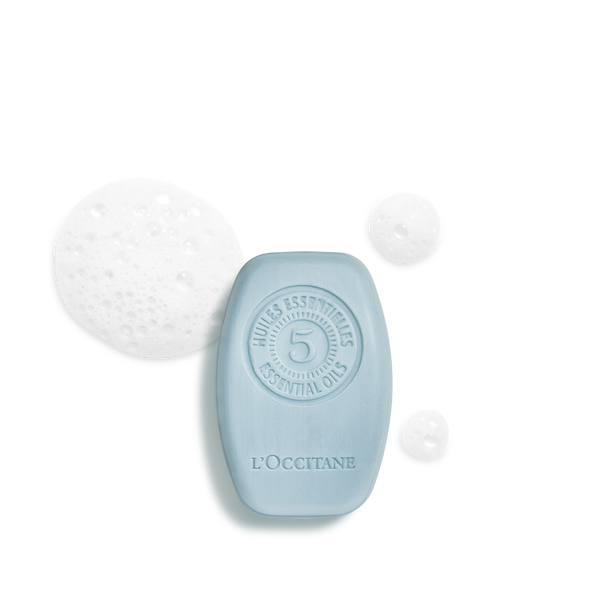 Purifying Freshness Solid Shampoo
