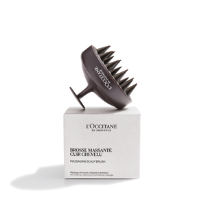 2024 SCALP BRUSH