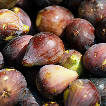  Featured Ingredient - L'Occitane