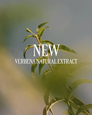Verbena - L'Occitane en Provence Malta