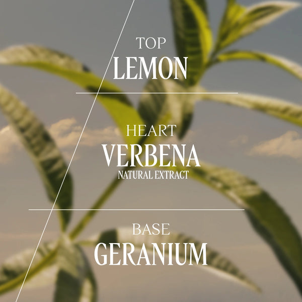 Verbena - L'Occitane en Provence Malta
