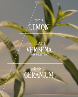 Verbena - L'Occitane en Provence Malta