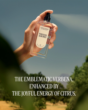 L'Occitane en Provence Malta - Citrus Verbena