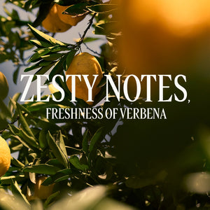 L'Occitane en Provence Malta - Citrus Verbena