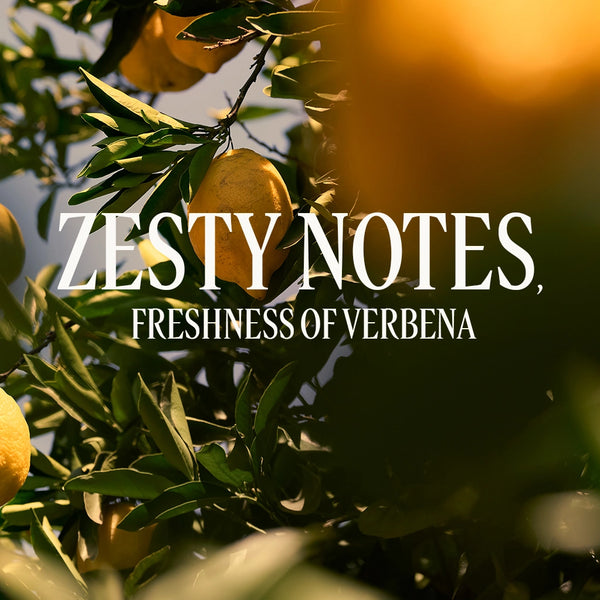 L'Occitane en Provence Malta - Citrus Verbena