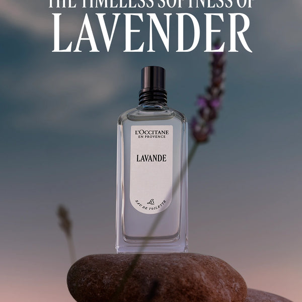 L'Occitane en Provence - Lavender