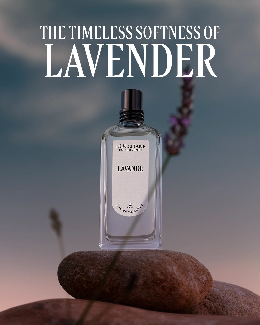 L'Occitane en Provence - Lavender