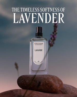 L'Occitane en Provence - Lavender