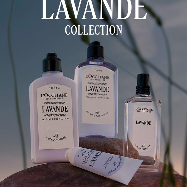 L'Occitane en Provence - Lavender