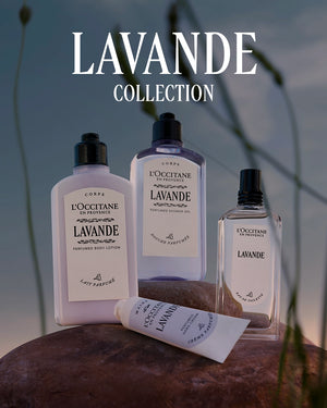 L'Occitane en Provence - Lavender