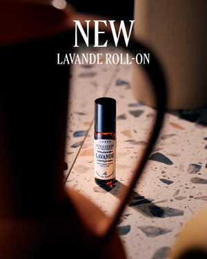 L'Occitane en Provence - Lavender