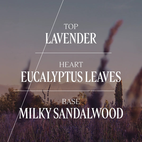 L'Occitane en Provence - Lavender