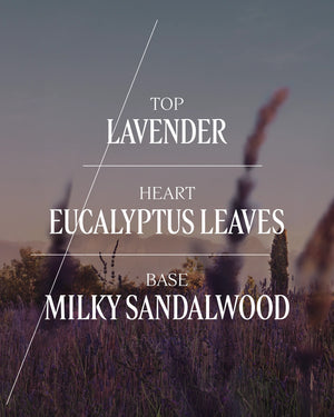 L'Occitane en Provence - Lavender