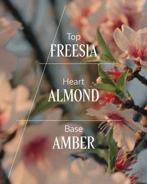 Almond Delightful Hair & Body Mist