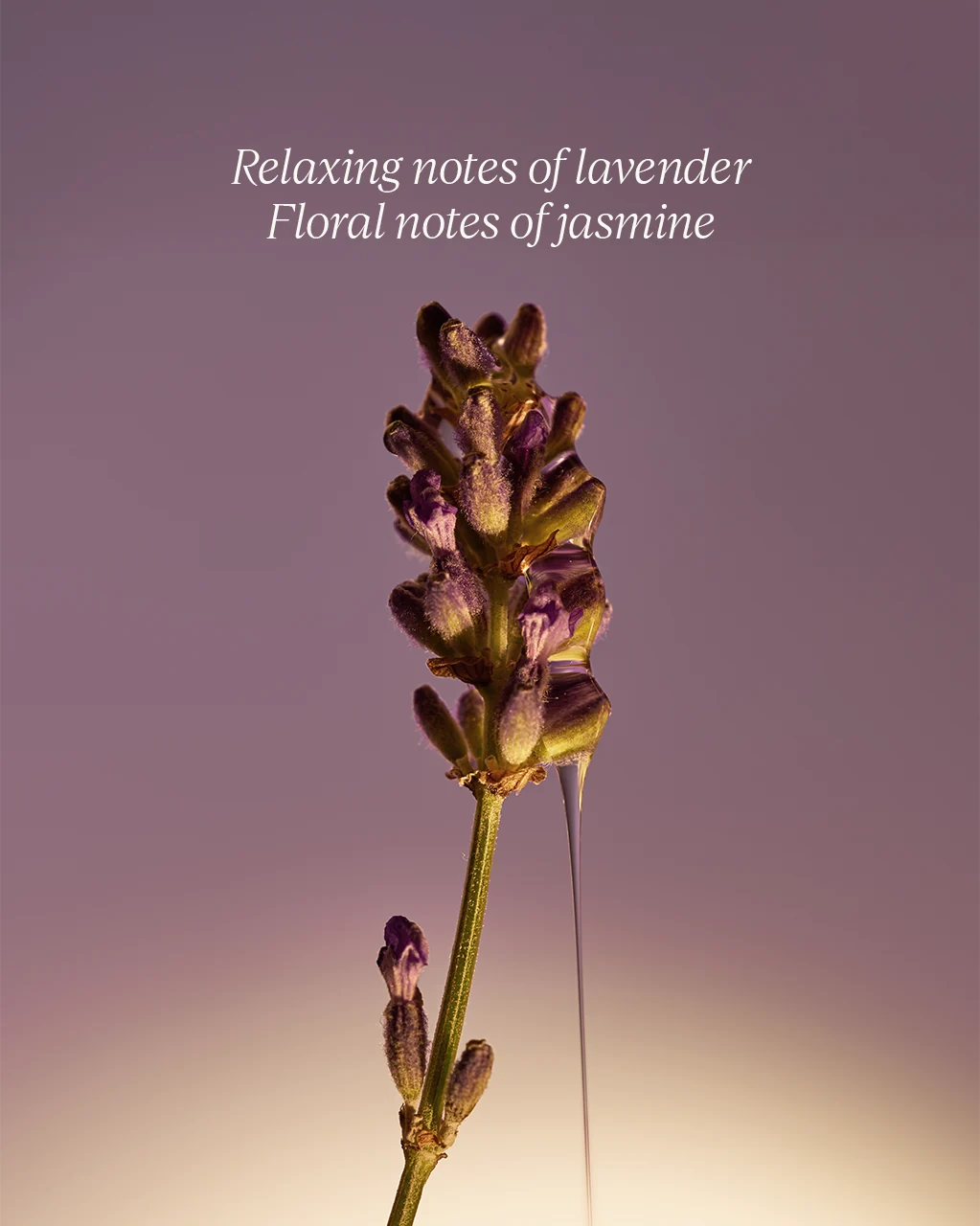 Lavender Liquid Hand Soap