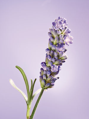Night Soothing Defense Serum