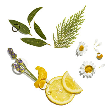  Featured Ingredient - L'Occitane