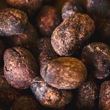 Featured Ingredient - L'Occitane