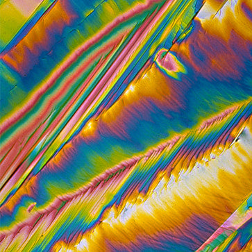 Featured Ingredient - L'Occitane