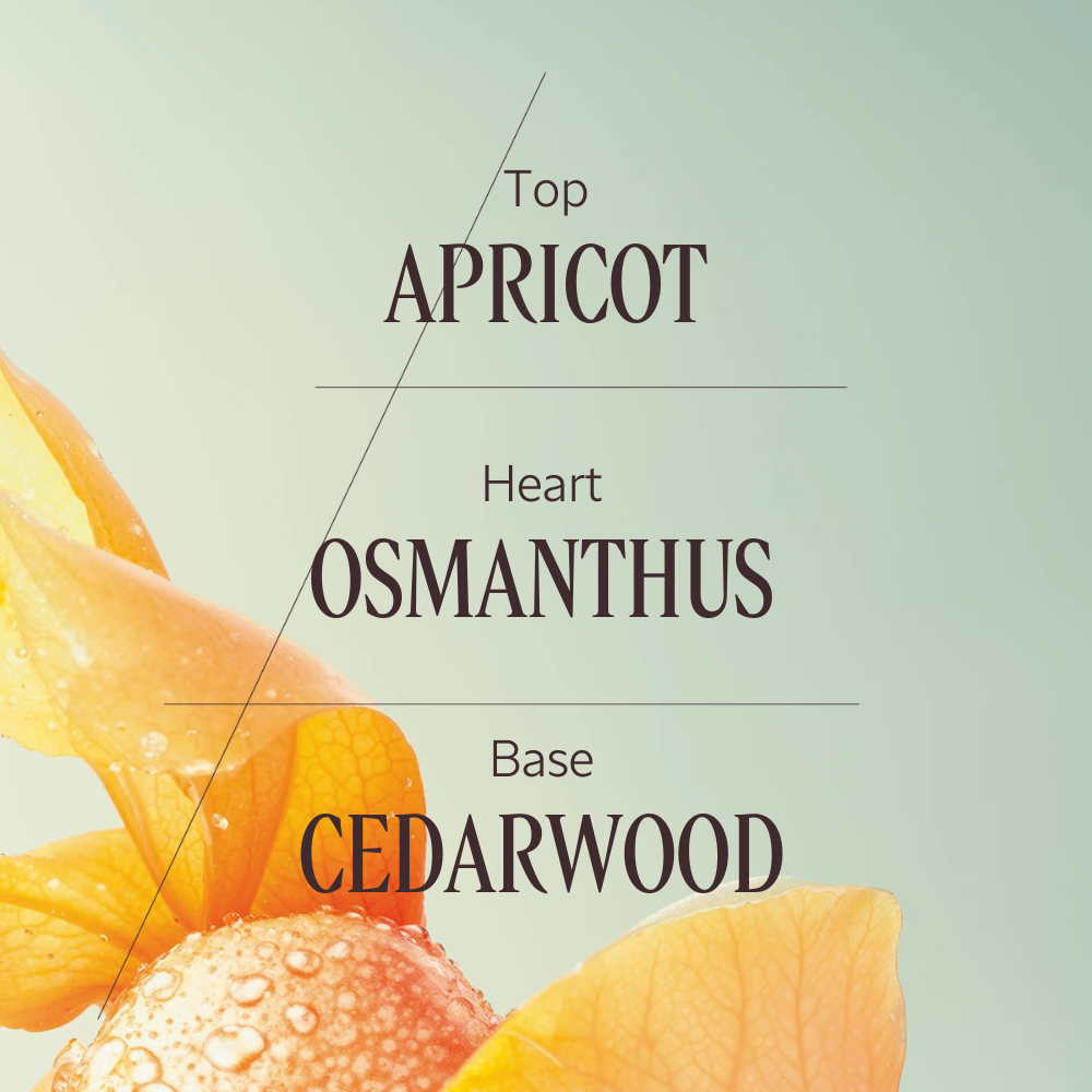 Osmanthus Abricot eau de toilette