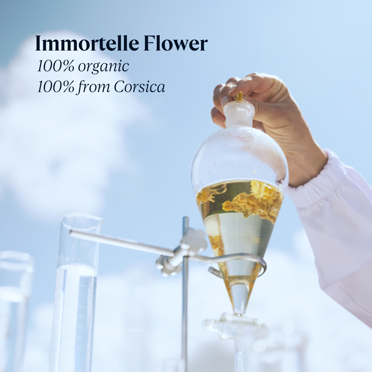 Immortelle Overnight Reset Oil-In-Serum