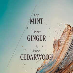 Cèdre Gingembre eau de toilette