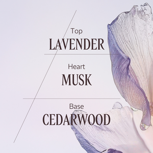 Lavande Poivre Noir eau de toilette